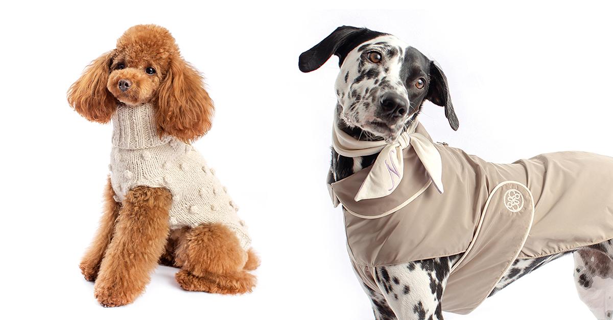 12 Best Eco-Friendly Pet Accessories That Won't Harm The Planet (2025)