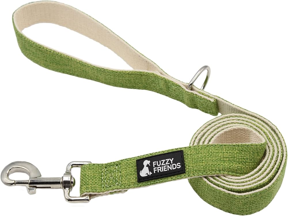 12 Best Eco-Friendly Pet Accessories That Won't Harm The Planet (2025)